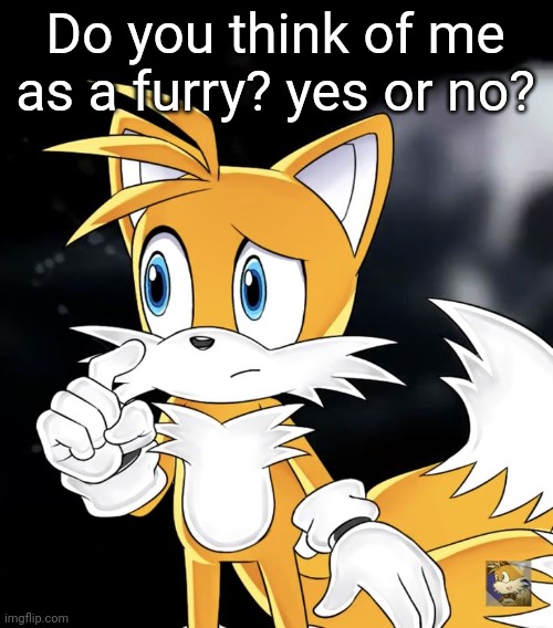 Do you think of me as a furry? yes or no? | image tagged in tails thinking | made w/ Imgflip meme maker