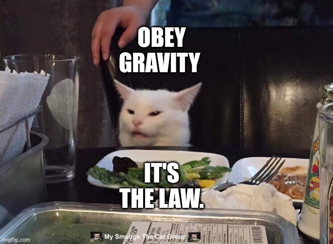  IT'S THE LAW. OBEY GRAVITY | image tagged in smudge the cat | made w/ Imgflip meme maker