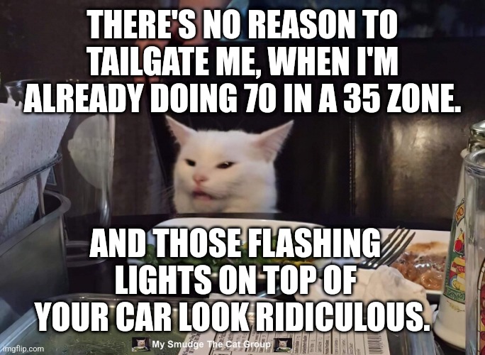 THERE'S NO REASON TO TAILGATE ME, WHEN I'M ALREADY DOING 70 IN A 35 ZONE. AND THOSE FLASHING LIGHTS ON TOP OF YOUR CAR LOOK RIDICULOUS. | image tagged in smudge the cat | made w/ Imgflip meme maker