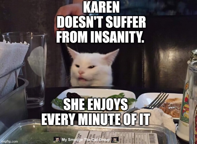 KAREN DOESN'T SUFFER FROM INSANITY. SHE ENJOYS EVERY MINUTE OF IT | image tagged in smudge the cat | made w/ Imgflip meme maker