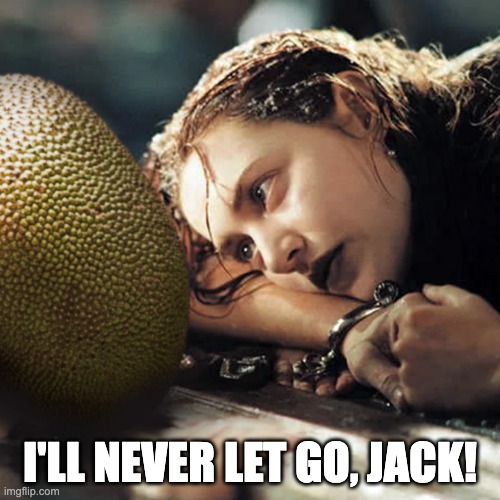jackfruit and rose | I'LL NEVER LET GO, JACK! | image tagged in i'll never let go jack | made w/ Imgflip meme maker