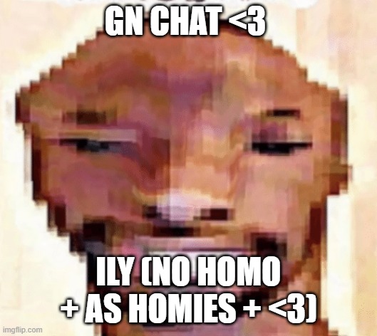 The Shittiest of Shitposts | GN CHAT <3; ILY (NO HOMO + AS HOMIES + <3) | image tagged in the shittiest of shitposts | made w/ Imgflip meme maker