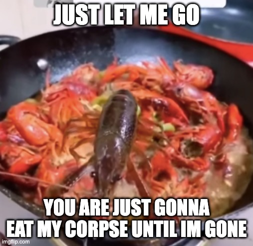 ANIMAL CRUELTY :( | JUST LET ME GO; YOU ARE JUST GONNA EAT MY CORPSE UNTIL IM GONE | image tagged in shrimp holding on | made w/ Imgflip meme maker