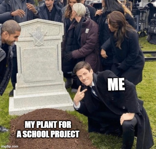 Grant Gustin over grave | ME; MY PLANT FOR A SCHOOL PROJECT | image tagged in grant gustin over grave | made w/ Imgflip meme maker