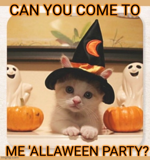 You're invited | CAN YOU COME TO; ME 'ALLAWEEN PARTY? | image tagged in cute kittens,halloween is coming | made w/ Imgflip meme maker