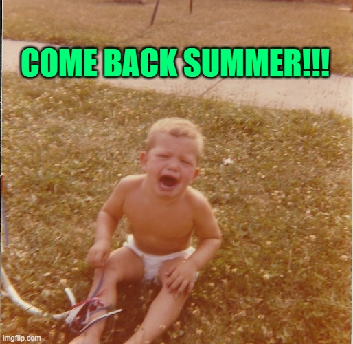 summer | COME BACK SUMMER!!! | image tagged in summer | made w/ Imgflip meme maker