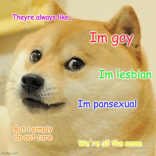 I dont wanna go through all this bullshit... | Theyre always like... Im gay; Im lesbian; Im pansexual; But i simply do not care; We're all the same | image tagged in memes,doge,same,funny,dankmemes,sexuality | made w/ Imgflip meme maker