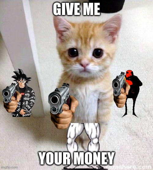 funni | GIVE ME; YOUR MONEY | image tagged in memes,cute cat | made w/ Imgflip meme maker