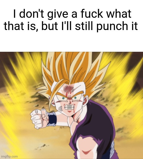 I don't give a fuck what that is, but I'll still punch it | image tagged in blank white template,anger ssj2 teen gohan dbz | made w/ Imgflip meme maker