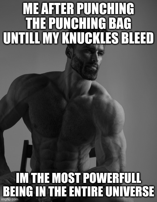 Giga Chad | ME AFTER PUNCHING THE PUNCHING BAG UNTILL MY KNUCKLES BLEED; IM THE MOST POWERFULL BEING IN THE ENTIRE UNIVERSE | image tagged in giga chad | made w/ Imgflip meme maker