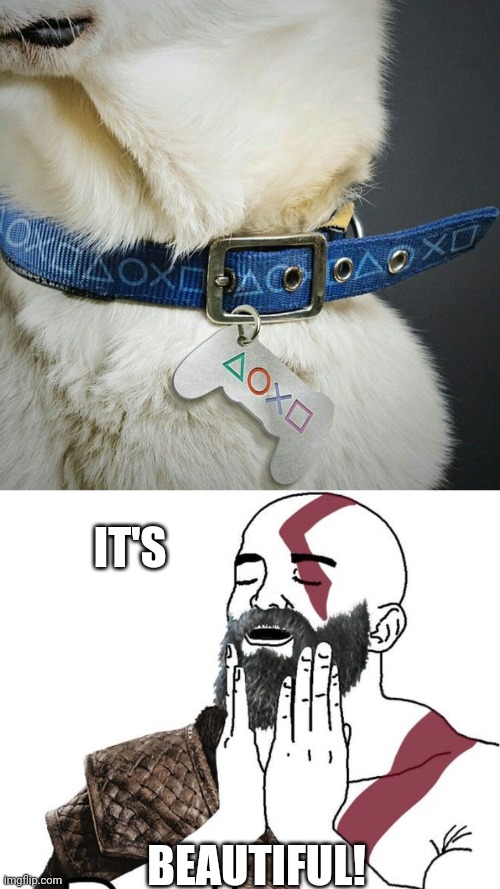 THE PERFECT DOG COLLAR | IT'S; BEAUTIFUL! | image tagged in playstation,dog | made w/ Imgflip meme maker