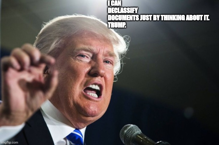 Magamind | I CAN DECLASSIFY DOCUMENTS JUST BY THINKING ABOUT IT.


TRUMP. | image tagged in trump,conservative,republican,democrat,liberal | made w/ Imgflip meme maker