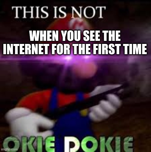 THIS IS NOT OKIE DOKIE | WHEN YOU SEE THE INTERNET FOR THE FIRST TIME | image tagged in this is not okie dokie | made w/ Imgflip meme maker