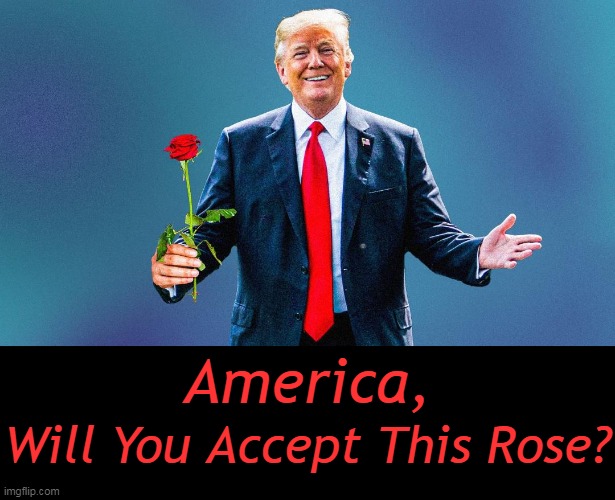 After Living The Nightmare on Elm Street, I'm Ready For The Fantasy Suite! |  America, Will You Accept This Rose? | image tagged in politics,donald trump,fantasy suite vs nightmare on elm street,america,our future,the bachelor | made w/ Imgflip meme maker