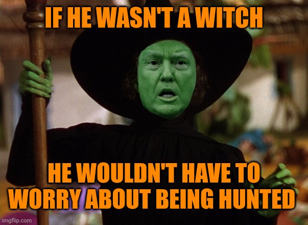 Donald Trump, the Witch Hunt | IF HE WASN'T A WITCH HE WOULDN'T HAVE TO WORRY ABOUT BEING HUNTED | image tagged in donald trump the witch hunt | made w/ Imgflip meme maker