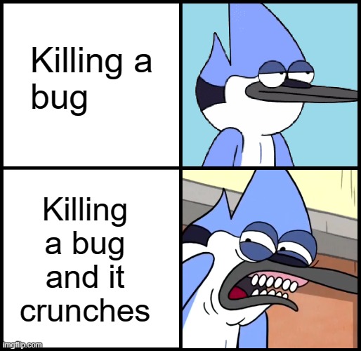 y'all ever deal with "spider crickets?" yeah they're a thing | Killing a
bug; Killing a bug
and it crunches | image tagged in mordecai disgusted | made w/ Imgflip meme maker