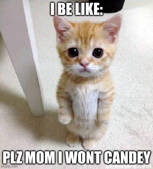Cute Cat | I BE LIKE:; PLZ MOM I WONT CANDEY | image tagged in memes,cute cat | made w/ Imgflip meme maker