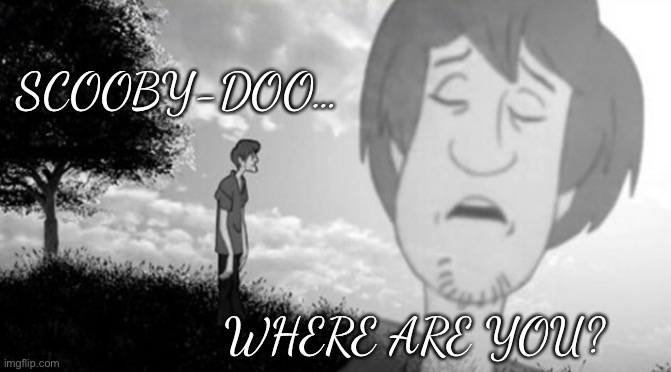 Depressed Shaggy | SCOOBY-DOO…; WHERE ARE YOU? | image tagged in funny memes,sad | made w/ Imgflip meme maker