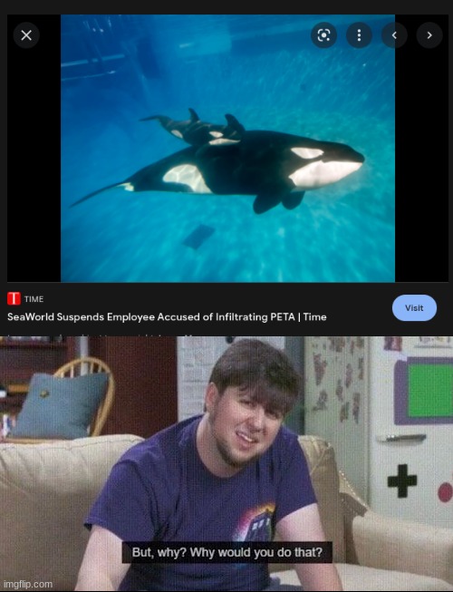 The one time you could be praised, you f**k it up. Just why, SeaWorld? (I wanna know what that guy found tho :) | image tagged in but why why would you do that,peta,seaworld,certified bruh moment | made w/ Imgflip meme maker