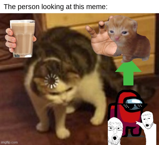 Confusing confused confusion | The person looking at this meme: | image tagged in loading cat | made w/ Imgflip meme maker