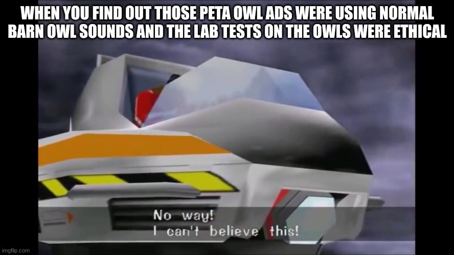Since I just found out about this, and I made this template, I present this to you | WHEN YOU FIND OUT THOSE PETA OWL ADS WERE USING NORMAL BARN OWL SOUNDS AND THE LAB TESTS ON THE OWLS WERE ETHICAL | image tagged in no way i can't believe this,peta | made w/ Imgflip meme maker