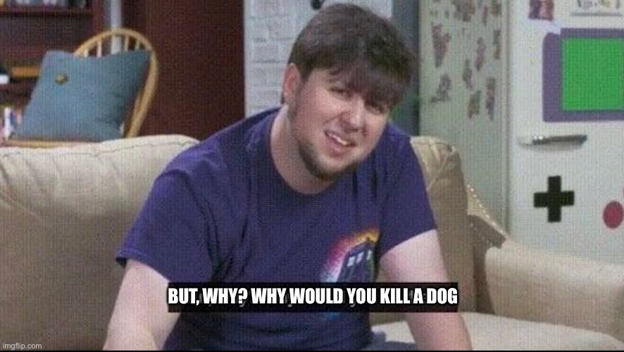 But why why would you do that? | BUT, WHY? WHY WOULD YOU KILL A DOG | image tagged in but why why would you do that | made w/ Imgflip meme maker