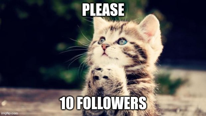 Cute kitten | PLEASE; 10 FOLLOWERS | image tagged in cute kitten | made w/ Imgflip meme maker