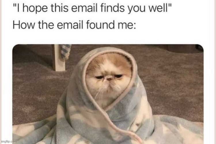 LOLOLOL CAT | image tagged in very funny | made w/ Imgflip meme maker