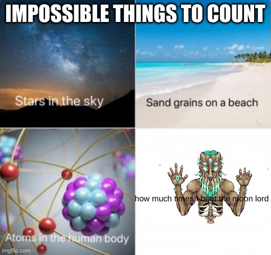 i really have to do this just to get the terrarian | IMPOSSIBLE THINGS TO COUNT; how much times I beat the moon lord | image tagged in impossible things to count,terraria | made w/ Imgflip meme maker