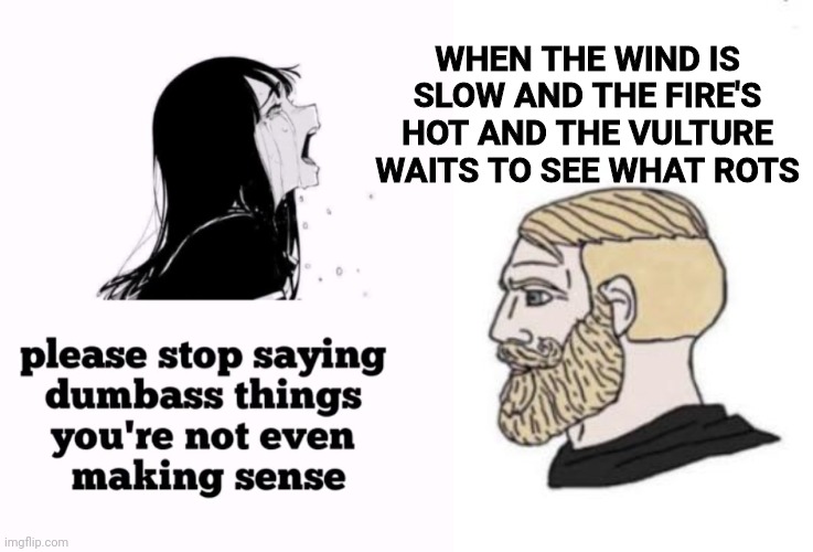 WHEN THE WIND IS SLOW AND THE FIRE'S HOT AND THE VULTURE WAITS TO SEE WHAT ROTS | image tagged in please stop saying dumbass things you're not even making sense,chad we know | made w/ Imgflip meme maker