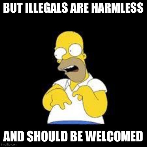 Look Marge | BUT ILLEGALS ARE HARMLESS AND SHOULD BE WELCOMED | image tagged in look marge | made w/ Imgflip meme maker
