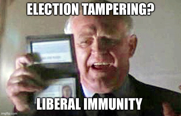 Diplomatic Immunity | ELECTION TAMPERING? LIBERAL IMMUNITY | image tagged in diplomatic immunity | made w/ Imgflip meme maker