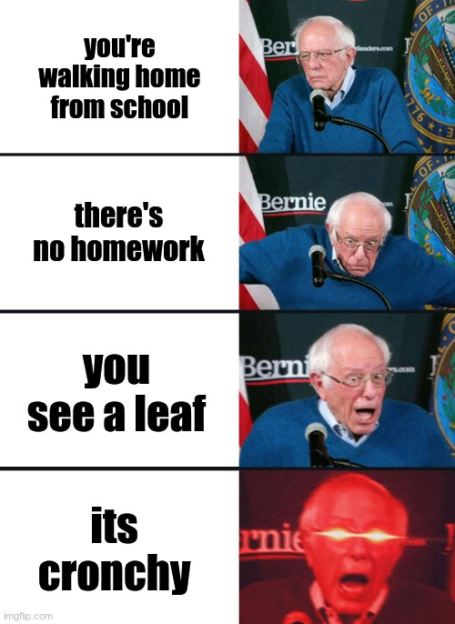 Bernie Sanders reaction (nuked) | you're walking home from school; there's no homework; you see a leaf; its cronchy | image tagged in bernie sanders reaction nuked | made w/ Imgflip meme maker