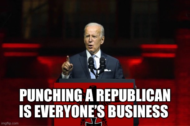 One party system | PUNCHING A REPUBLICAN IS EVERYONE’S BUSINESS | image tagged in one party system | made w/ Imgflip meme maker