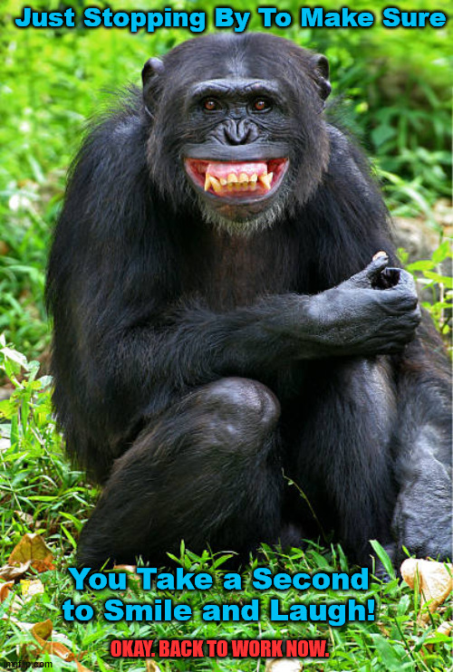 Smile | Just Stopping By To Make Sure; You Take a Second to Smile and Laugh! OKAY. BACK TO WORK NOW. | image tagged in smile,laugh,work,busy,chimp,motivation | made w/ Imgflip meme maker