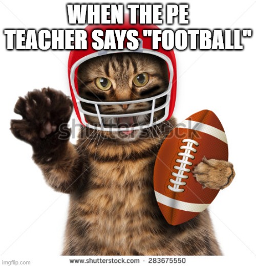 Sports | WHEN THE PE TEACHER SAYS "FOOTBALL" | image tagged in sports | made w/ Imgflip meme maker