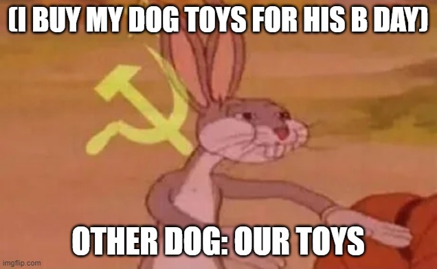 Bugs bunny communist |  (I BUY MY DOG TOYS FOR HIS B DAY); OTHER DOG: OUR TOYS | image tagged in bugs bunny communist | made w/ Imgflip meme maker