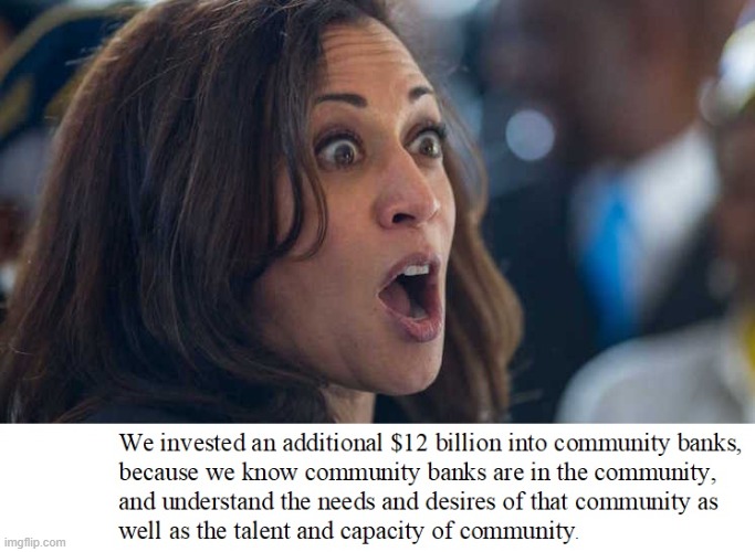 Veep Thoughts #25 | image tagged in kamala harris | made w/ Imgflip meme maker