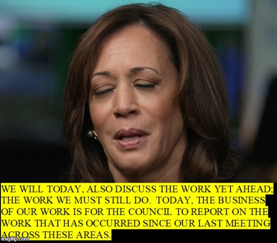 Veep Thoughts #26 | image tagged in kamala harris | made w/ Imgflip meme maker