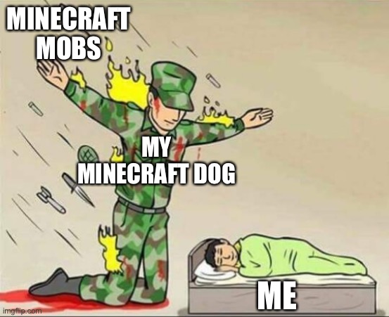 Rest in piece |  MINECRAFT MOBS; MY MINECRAFT DOG; ME | image tagged in soldier protecting sleeping child,i won but at what cost,rip,dog,minecraft friendship,minecraft | made w/ Imgflip meme maker