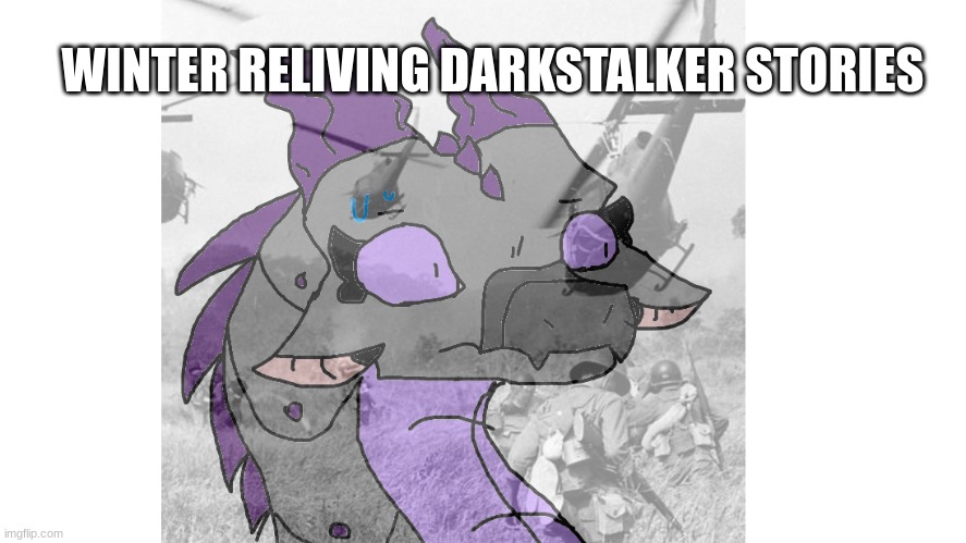 Wings of fire | WINTER RELIVING DARKSTALKER STORIES | image tagged in midnight ptsd | made w/ Imgflip meme maker