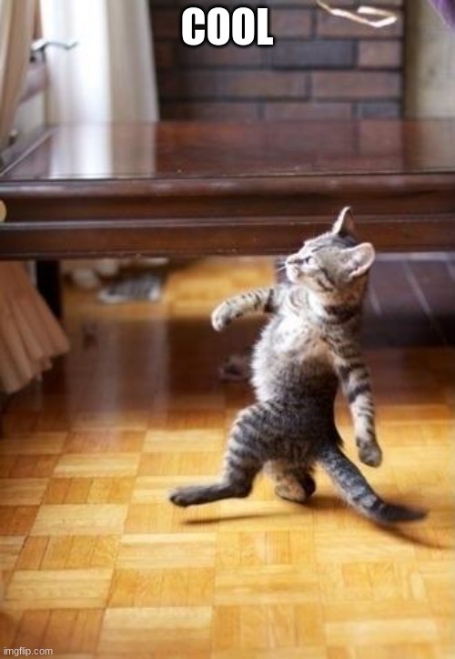 Cool Cat Stroll | COOL | image tagged in memes,cool cat stroll | made w/ Imgflip meme maker