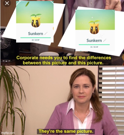 The Office Pam | image tagged in the office pam | made w/ Imgflip meme maker