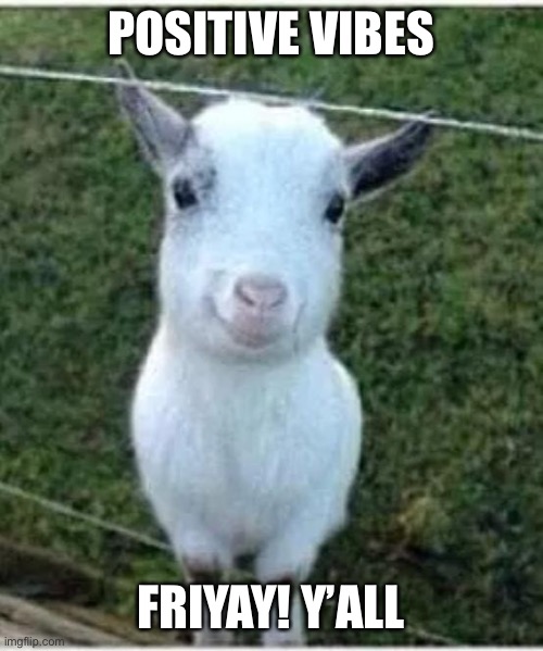 Happy friday | POSITIVE VIBES; FRIYAY! Y’ALL | image tagged in good vibes goat | made w/ Imgflip meme maker