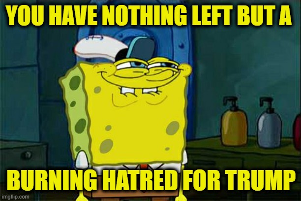 Don't You Squidward Meme | YOU HAVE NOTHING LEFT BUT A BURNING HATRED FOR TRUMP | image tagged in memes,don't you squidward | made w/ Imgflip meme maker