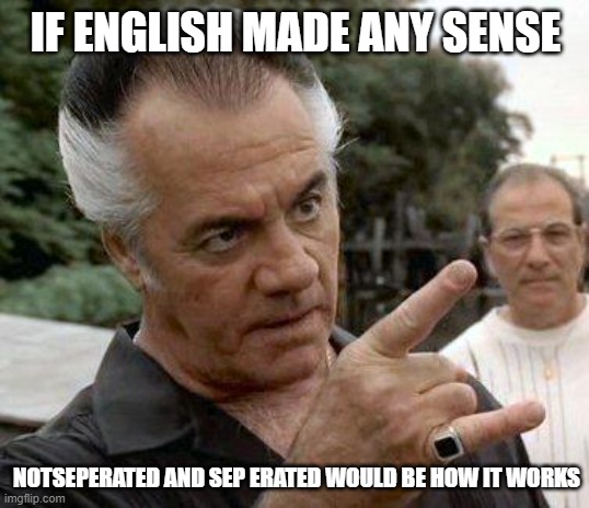 Paulie Gualtieri | IF ENGLISH MADE ANY SENSE NOTSEPERATED AND SEP ERATED WOULD BE HOW IT WORKS | image tagged in paulie gualtieri | made w/ Imgflip meme maker