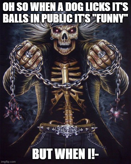 Badass Skeleton | OH SO WHEN A DOG LICKS IT'S BALLS IN PUBLIC IT'S "FUNNY" BUT WHEN I!- | image tagged in badass skeleton | made w/ Imgflip meme maker