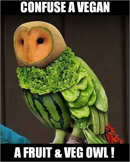 To Make You Smile ! |  CONFUSE A VEGAN; A FRUIT & VEG OWL ! | image tagged in fun,vegan,confusion,owl | made w/ Imgflip meme maker