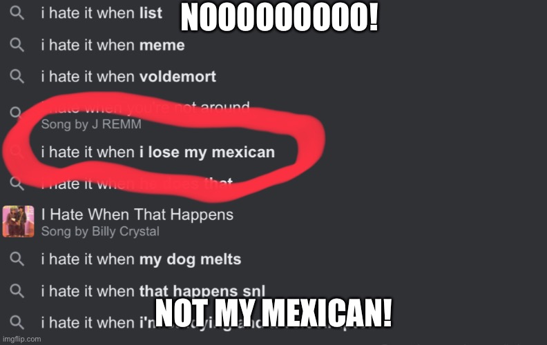 I hate it when | NOOOOOOOOO! NOT MY MEXICAN! | image tagged in i hate it when | made w/ Imgflip meme maker