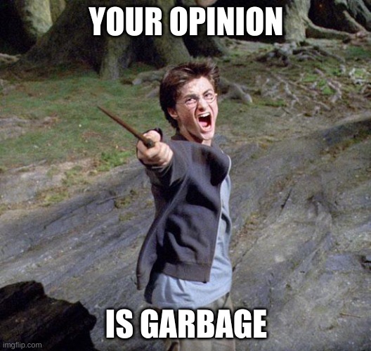 Harry potter | YOUR OPINION IS GARBAGE | image tagged in harry potter | made w/ Imgflip meme maker